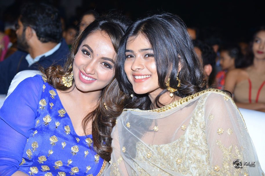 Nanna-Nenu-Naa-Boyfriends-Movie-Audio-Launch